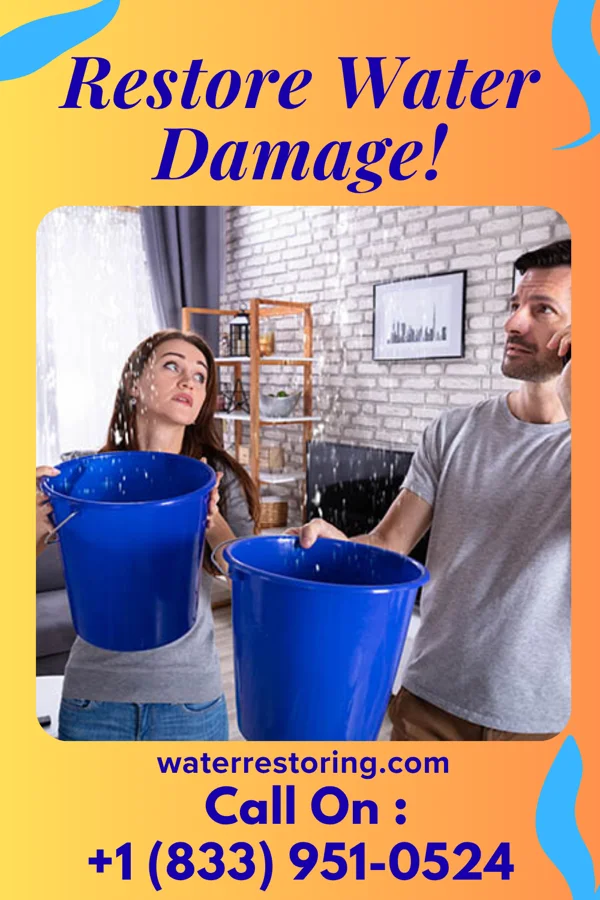 water restoration Expert Restoration Solutions Company Kittanning