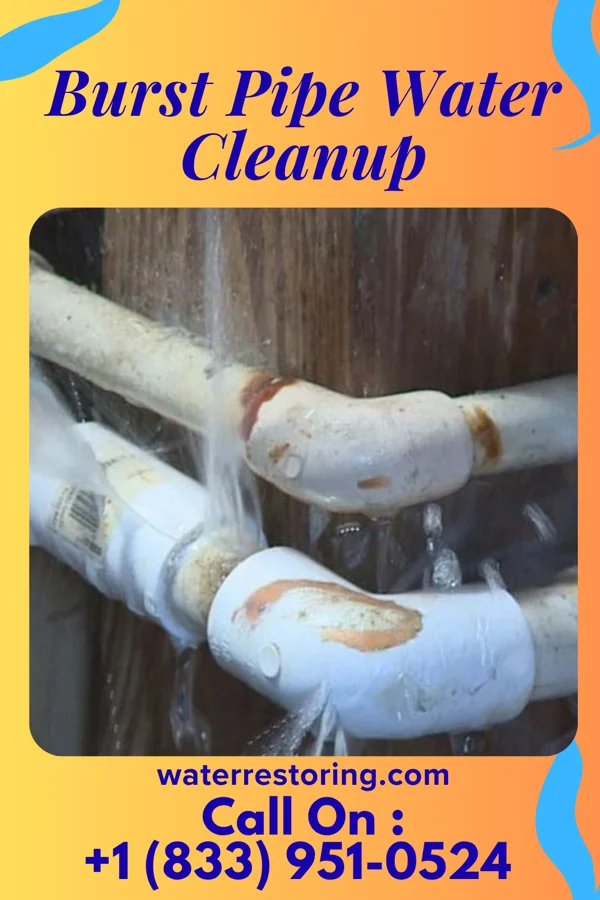 Burst Pipe Water Cleanup in Kittanning, PA
