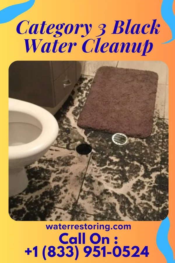 Category 3 Black Water Cleanup in Kittanning, PA