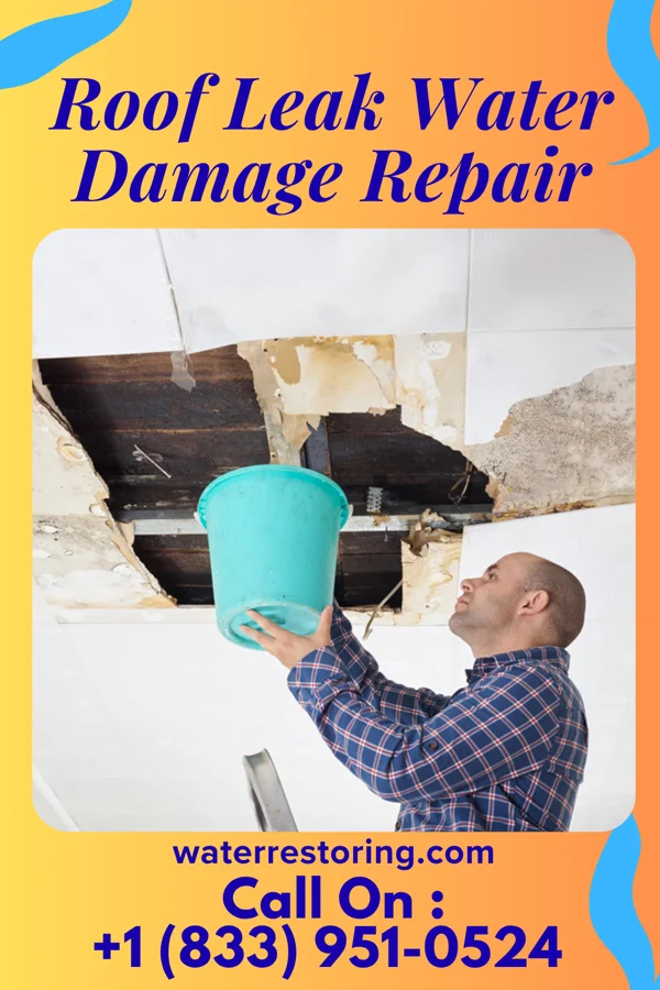 Roof Leak Water Damage Repair in Kittanning, PA