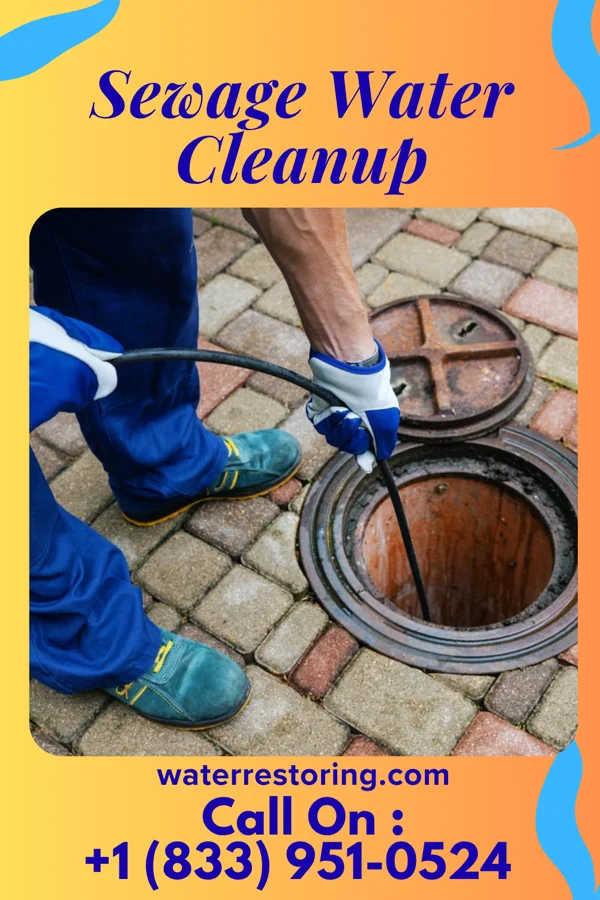 Sewage Water Cleanup in Kittanning, PA