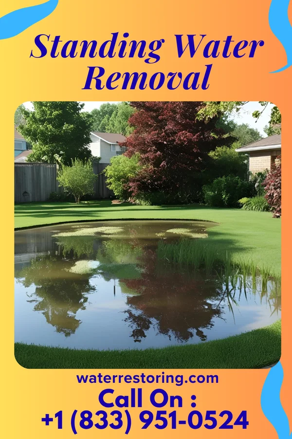 Standing Water Removal in Kittanning, PA